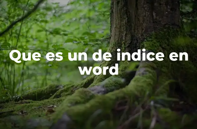 Que es un de Indice en Word