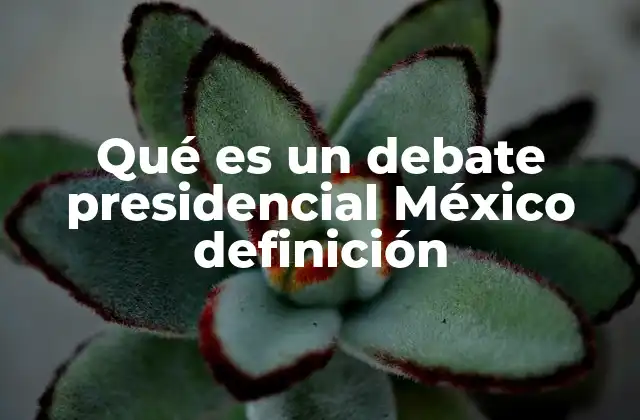Qué es un Debate Presidencial México Definición
