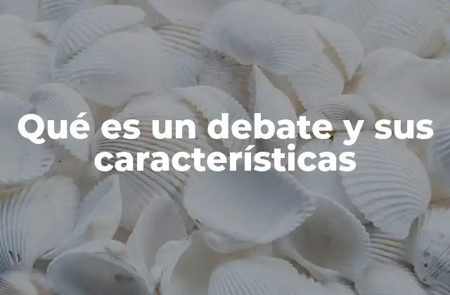 Qué es un Debate y Sus Características