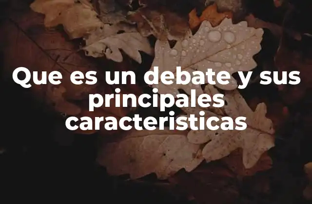 La estructura y dinámica de un debate