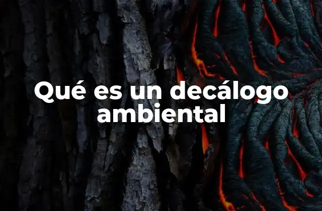 Qué es un Decálogo Ambiental