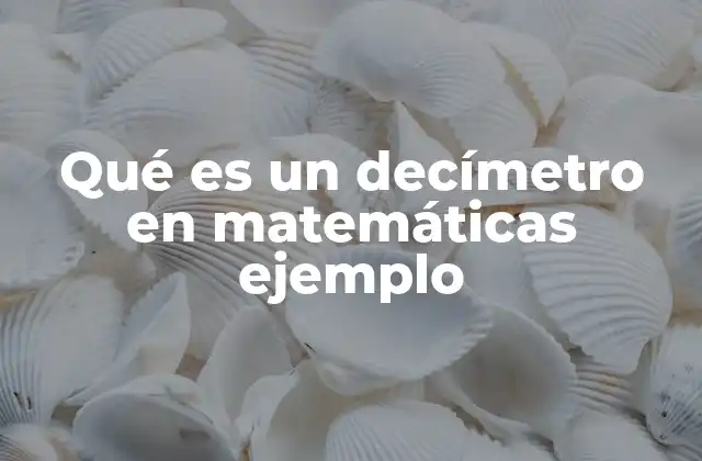 El decímetro como parte del sistema métrico decimal