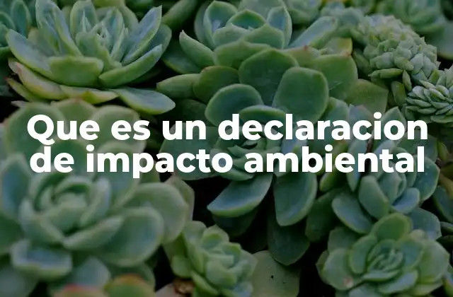 Que es un Declaracion de Impacto Ambiental