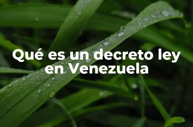 Qué es un Decreto Ley en Venezuela