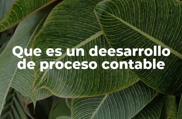 Que es un Deesarrollo de Proceso Contable