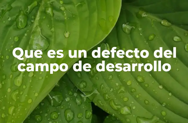 Que es un Defecto Del Campo de Desarrollo