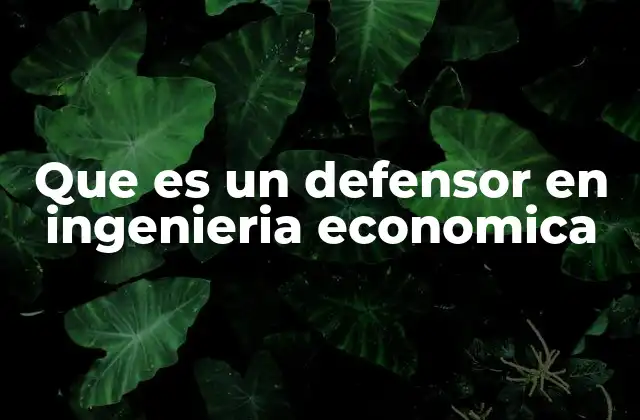 Que es un Defensor en Ingenieria Economica