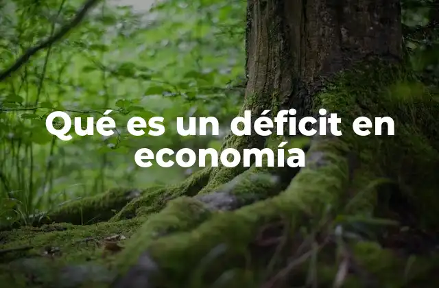 Qué es un Déficit en Economía