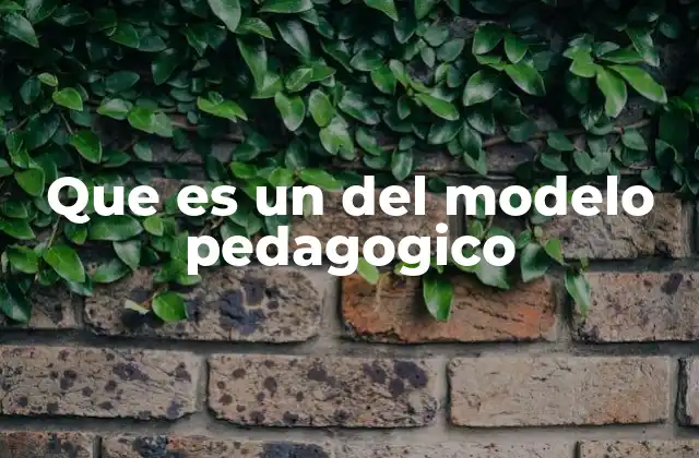 Que es un Del Modelo Pedagogico