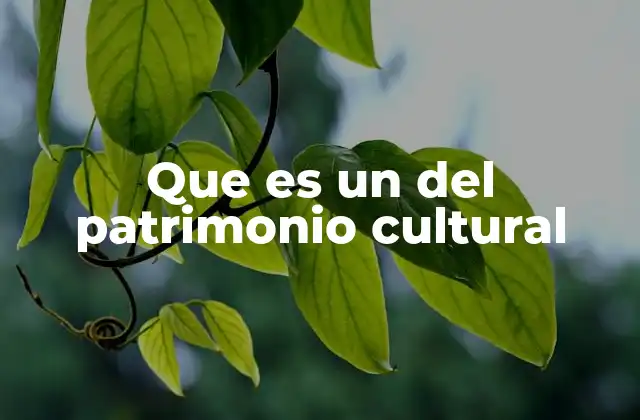Que es un Del Patrimonio Cultural