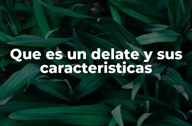 Que es un Delate y Sus Caracteristicas