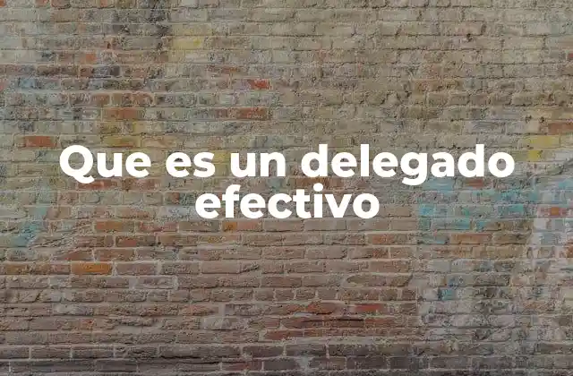 Que es un Delegado Efectivo