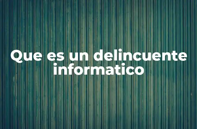 Que es un Delincuente Informatico