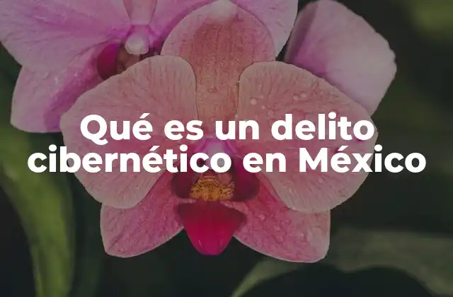 Qué es un Delito Cibernético en México