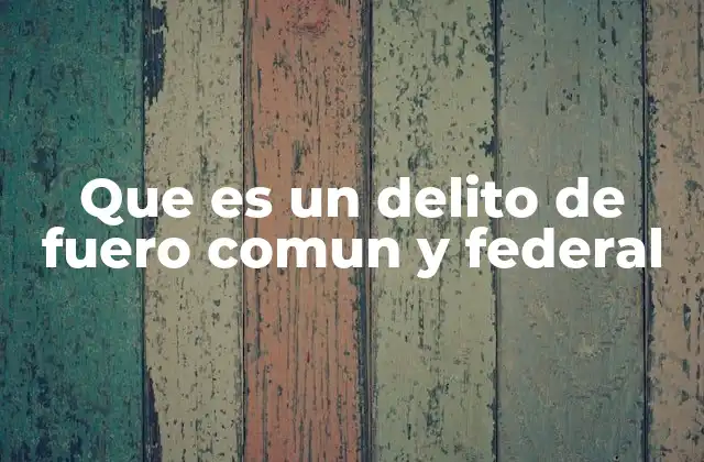 Que es un Delito de Fuero Comun y Federal