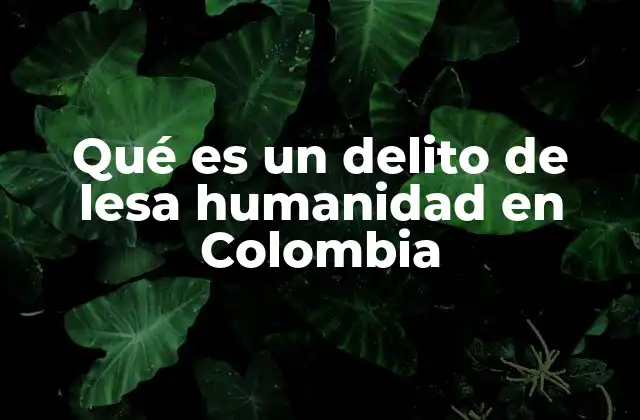 Qué es un Delito de Lesa Humanidad en Colombia