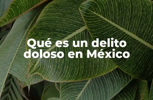 Qué es un Delito Doloso en México