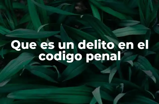 Que es un Delito en el Codigo Penal