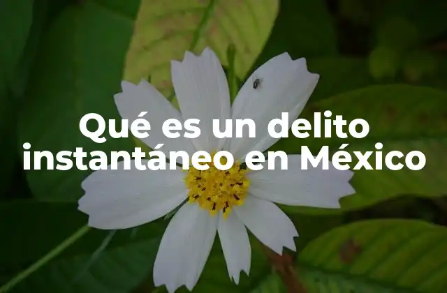 Qué es un Delito Instantáneo en México