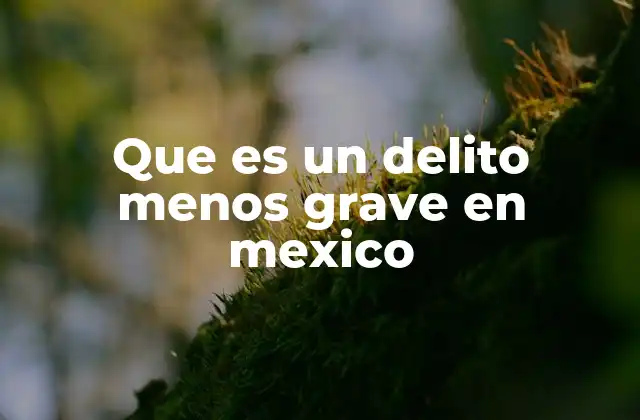 Que es un Delito Menos Grave en Mexico