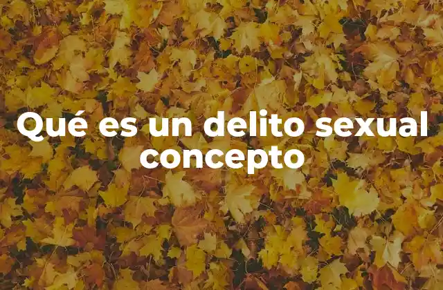 Qué es un Delito Sexual Concepto