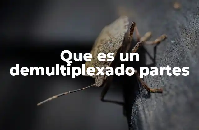 Que es un Demultiplexado Partes