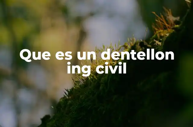 Que es un Dentellon Ing Civil