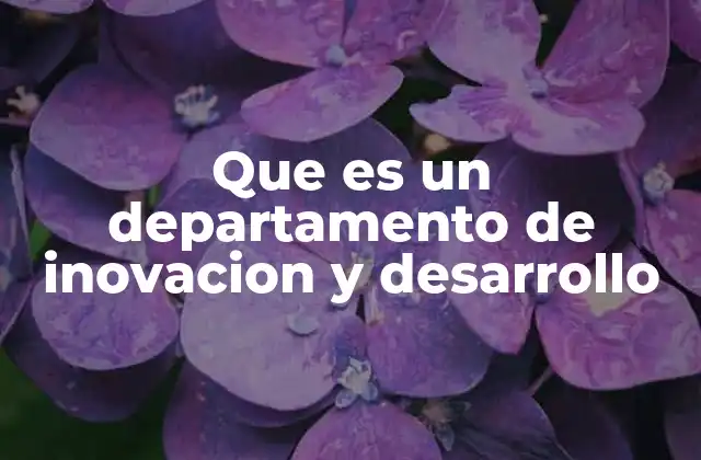 La importancia de contar con un equipo especializado en innovación