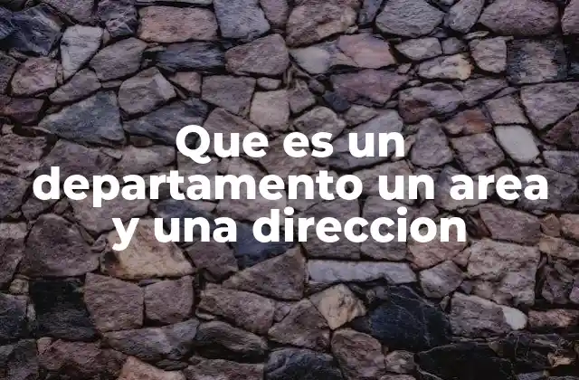 Que es un Departamento un Area y una Direccion