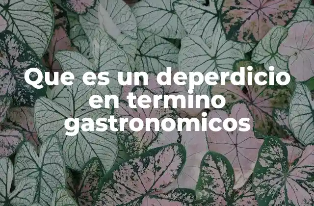 Que es un Deperdicio en Termino Gastronomicos