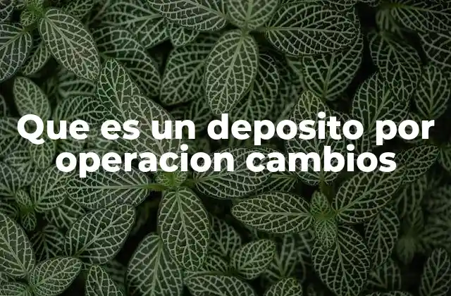 Que es un Deposito por Operacion Cambios