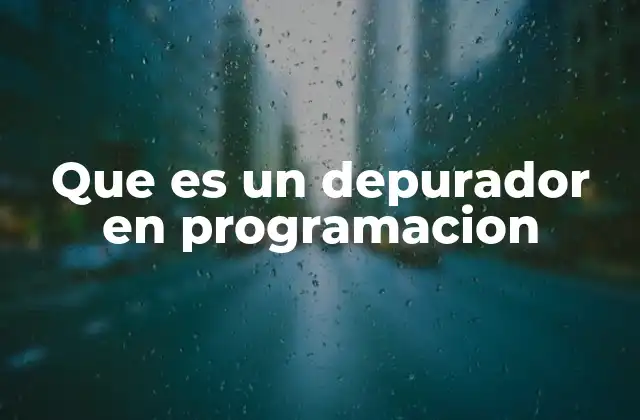 Que es un Depurador en Programacion