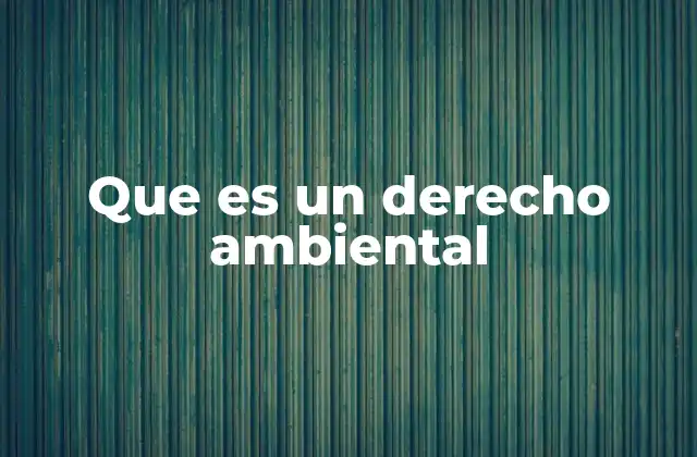 Que es un Derecho Ambiental