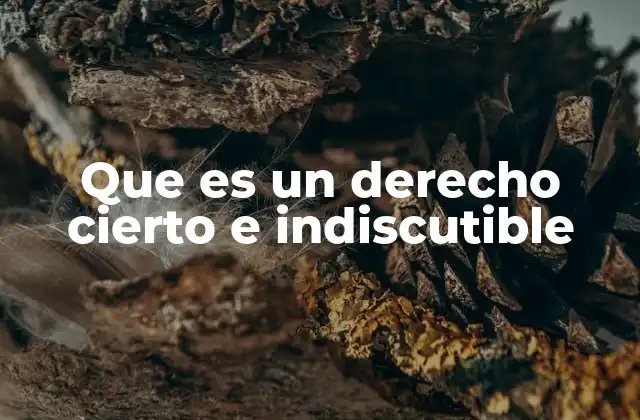 Que es un Derecho Cierto e Indiscutible