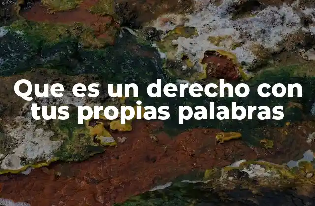Que es un Derecho con Tus Propias Palabras