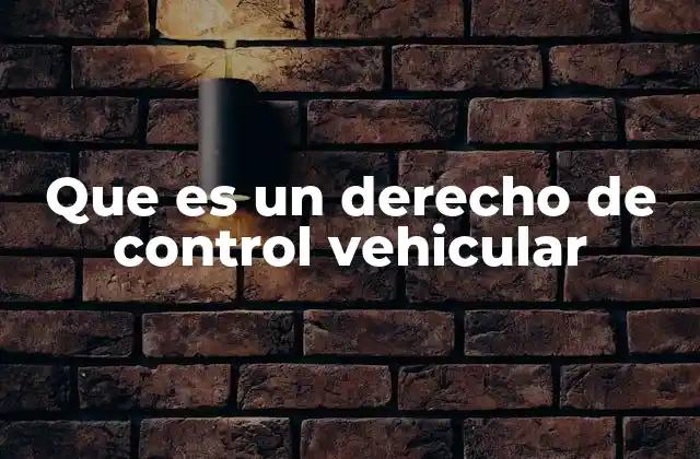 Que es un Derecho de Control Vehicular