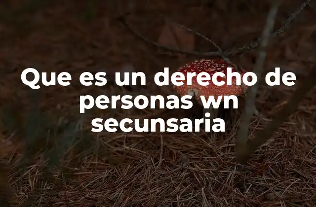 Que es un Derecho de Personas Wn Secunsaria