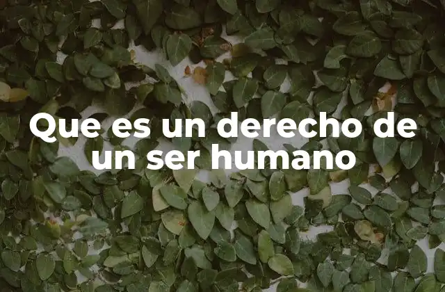 Que es un Derecho de un Ser Humano
