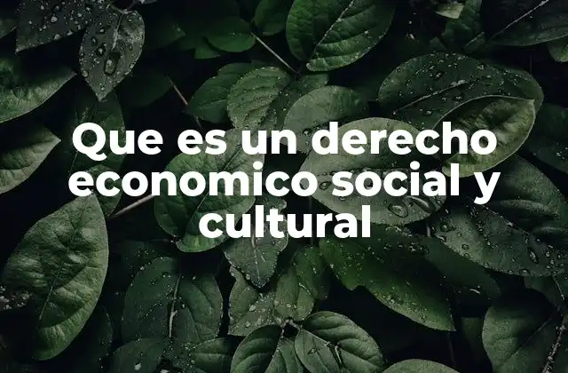 Que es un Derecho Economico Social y Cultural