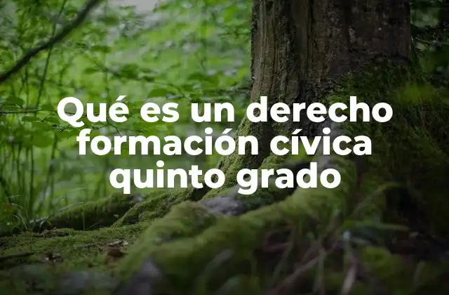 Qué es un Derecho Formación Cívica Quinto Grado 2 Introducción a los conceptos básicos de ciudadanía en educación primaria