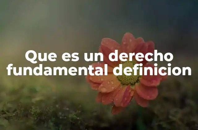 Que es un Derecho Fundamental Definicion