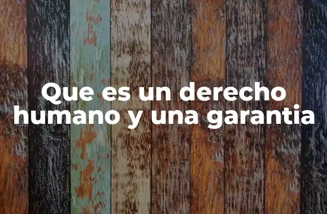 El papel de las garantías en la protección de los derechos humanos