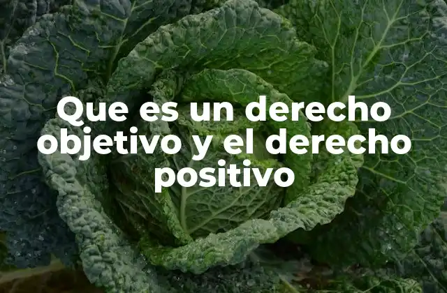 Que es un Derecho Objetivo y el Derecho Positivo