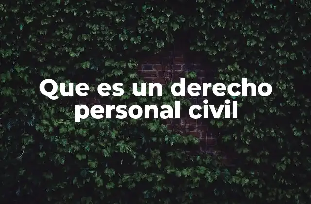 Que es un Derecho Personal Civil