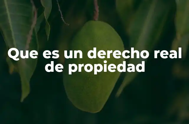 Que es un Derecho Real de Propiedad