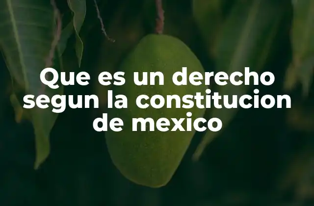 Que es un Derecho Segun la Constitucion de Mexico