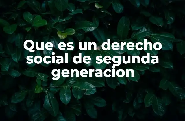 Que es un Derecho Social de Segunda Generacion