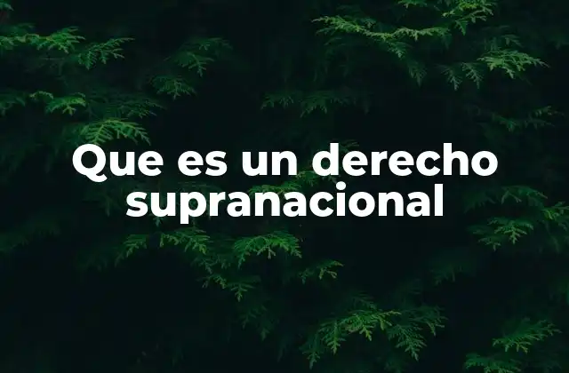 Que es un Derecho Supranacional