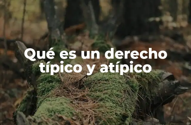 Qué es un Derecho Típico y Atípico
