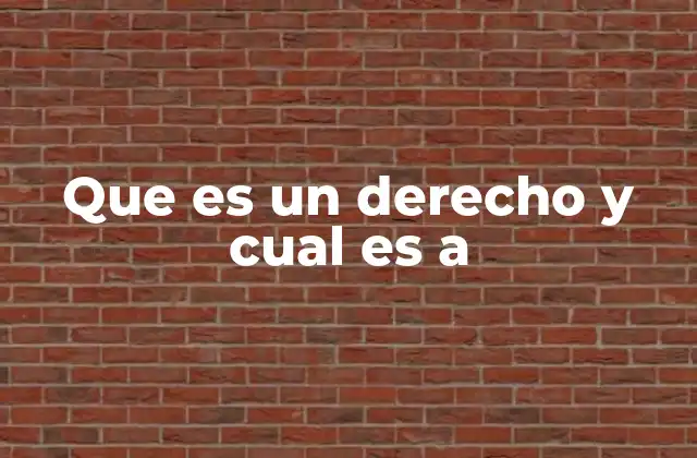 Que es un Derecho y Cual es a